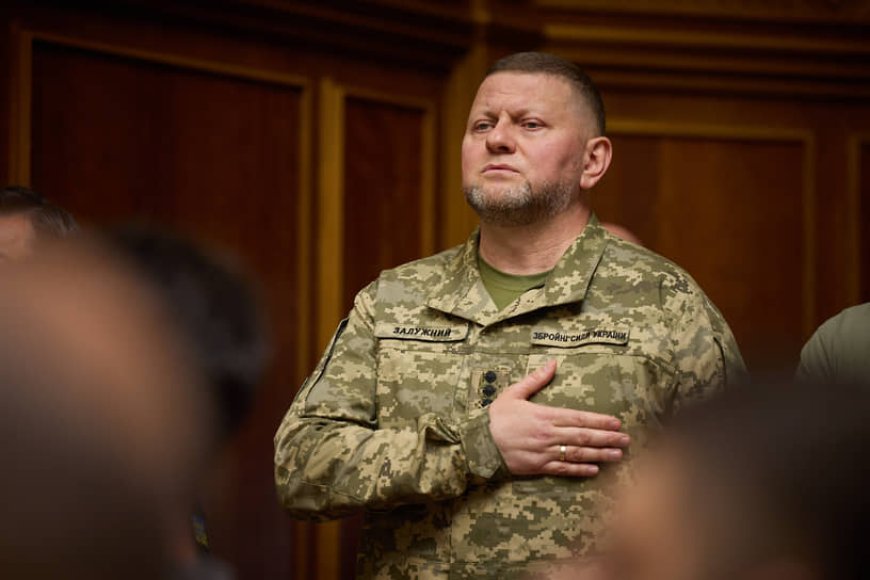 Украина әскерінің қолбасшысы Залужный оставкаға кетті