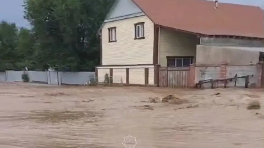 Алматы облысында сел жүріп, үйлерді су басты