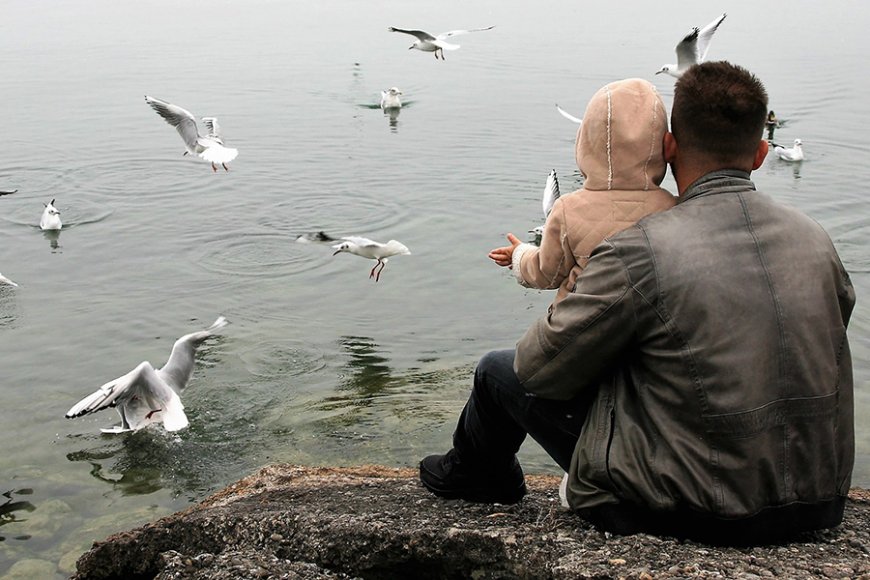 Елімізде бойдақ жігіттерге бала асырап алуға рұқсат берілмек